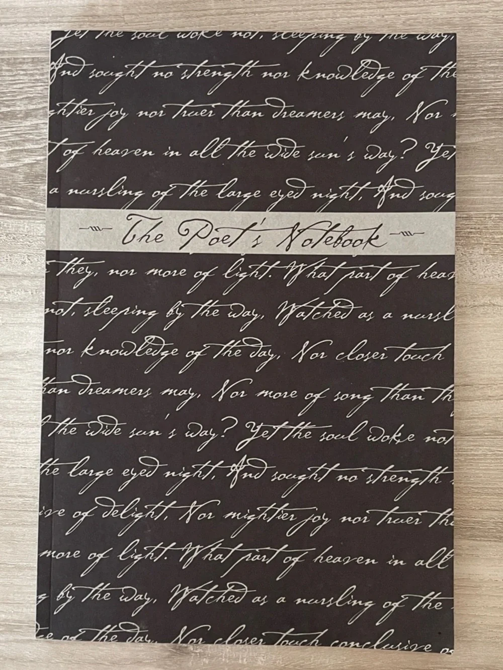 Y2K Poet Notebook - Picture 2 of 15